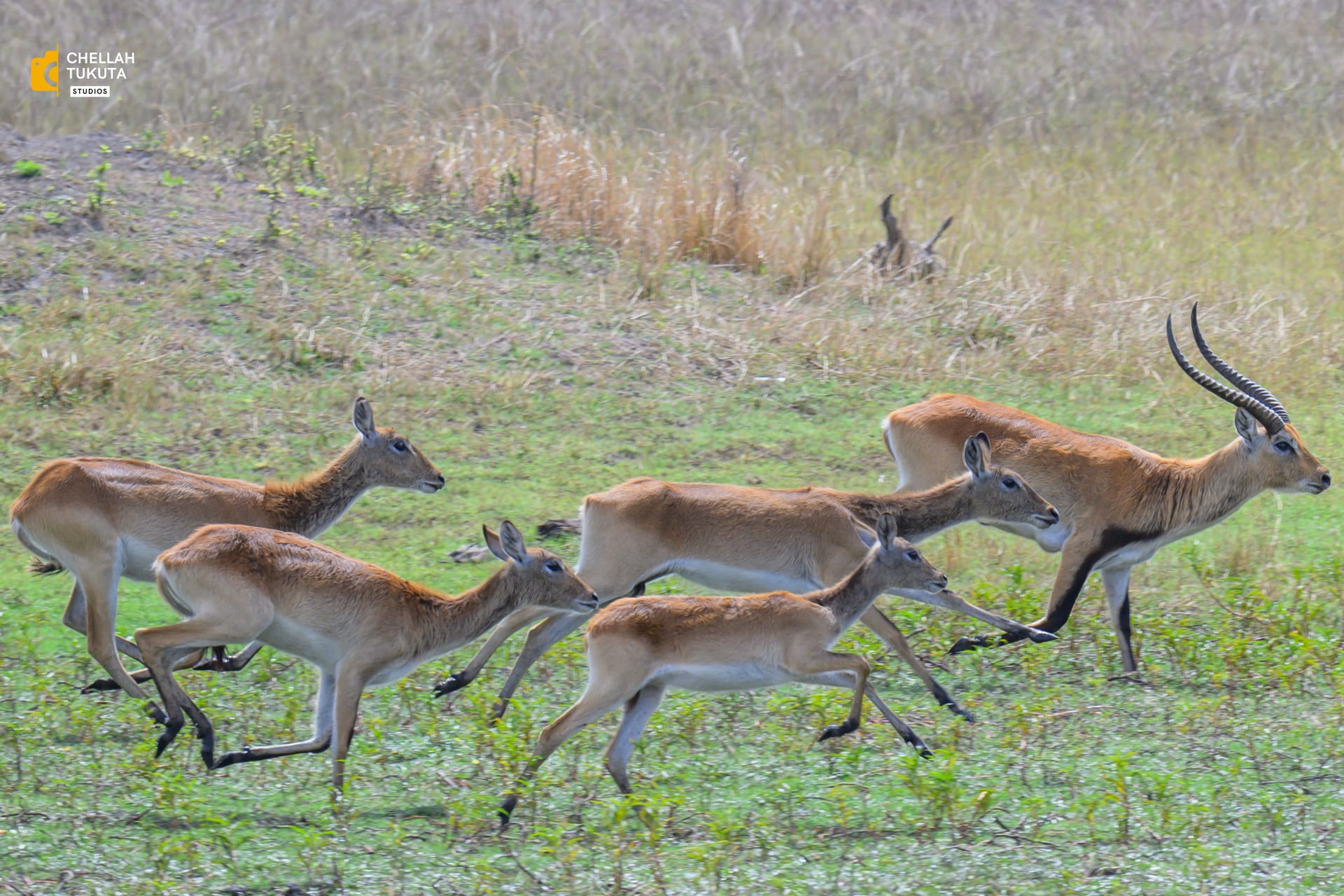 DSC_3948.jpg